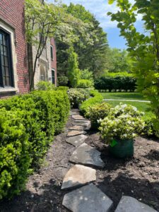 landscape design & installation