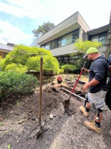 landscape design & installation