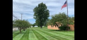 landscape company near me