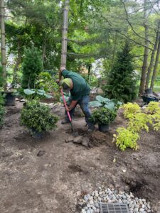 landscape design & installation