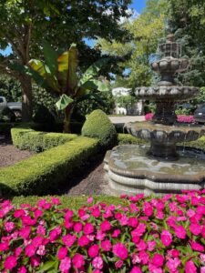 landscape design & installation