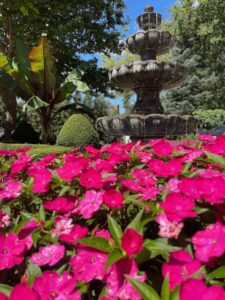 landscape design & installation