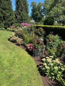 landscape design & installation