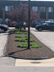 commercial landscaping company