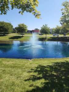 commercial landscaping company